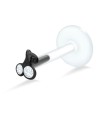 Cherry Stone Labrets Push-in LA-368